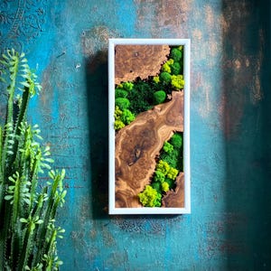Unique Design Moss Wall Art, Handcrafted Olive Wood and Preserved Moss Wall decor, olive wood and moss art,wooden and stabilized moss decor