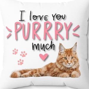 Coussin pour chat Je t'aime beaucoup, chat orange se reposant sur un coussin, coussin pour amoureux des chats, cadeau pour maman chat tigré, décoration d'intérieur ludique et confortable