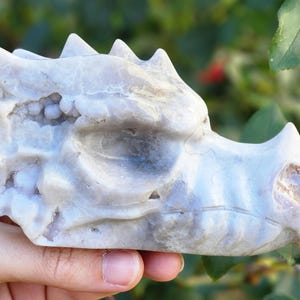 Pink Amethyst Druzy Dragon Head Carving