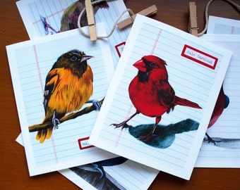 Set of 6 Illustrated Bird Cards - Note Cards - The Beautiful Bird Collection - Card Set - Bird Nerd