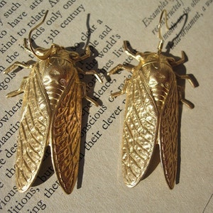 May include: A pair of gold-toned cicada earrings with intricate details. The earrings are made of metal and have a textured finish.