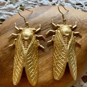 CICADA Earrings best seller since 2009 huge lightweight statement jewelry