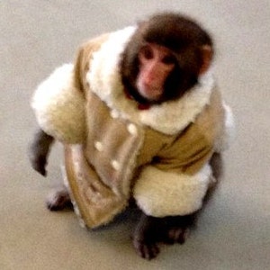 IKEA Monkey dangly earrings image 3