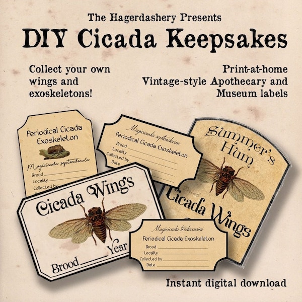 DIY Cicada Apothecary style Potion or Museum Labels, Printable Digital File, Cicadapocalypse, Brood XIX