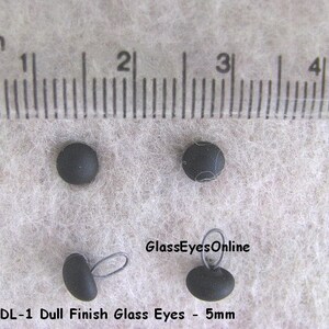 Op de afbeelding: Vier zwarte glazen ogen met een matte afwerking, met een diameter van 5 mm. De ogen worden getoond naast een liniaal ter referentie van de grootte. De tekst "#DL-1 Dull Finish Glass Eyes - 5mm" en "GlassEyesOnline" is zichtbaar in de afbeelding.