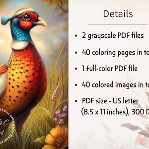 May include: A digital coloring book set featuring a colorful pheasant illustration and text details: 2 grayscale PDF files, 40 coloring pages, 1 full-color PDF file, 40 colored images, and US letter PDF size of 8.5 x 11 inches at 300 DPI.