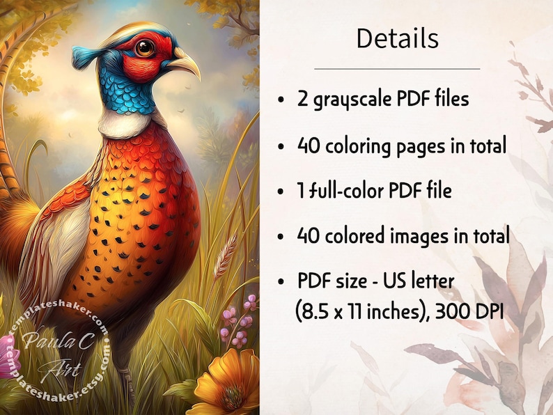 May include: A digital coloring book set featuring a colorful pheasant illustration and text details: 2 grayscale PDF files, 40 coloring pages, 1 full-color PDF file, 40 colored images, and US letter PDF size of 8.5 x 11 inches at 300 DPI.