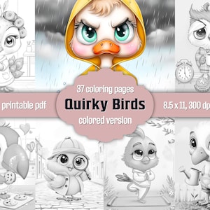 Libro para colorear de pájaros divertidos. Páginas para colorear en escala de grises para adultos y niños. Colorear fácilmente. Descarga instantánea. Versión PDF imprimible en color incluida.
