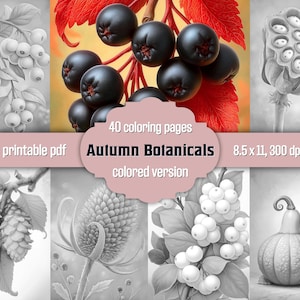 Autumn Botanical Coloring Book For Adults Printable PDF Fall Leaves Flowers Plants Detailed Grayscale Nature Coloring Pages, Colored Version