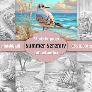 Summer Landscape Coloring Book Grayscale Coloring Pages For Adults Calm Relaxing Coloring Instant Download Printable PDF Colored Version JPG