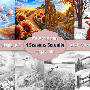 May include: A digital download featuring four seasonal landscape illustrations in colour and black and white. The images include a field of sunflowers, a snowy path, and a coastal scene. The text reads "4 Seasons Serenity" and "194 colouring pages".