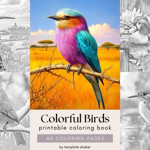 Op de afbeelding: Een printbaar kleurboek getiteld Colorful Birds met 40 kleurplaten. De omslag toont een kleurrijke vorkstaartscharrelaar op een tak, omringd door vier zwart-wit vogelillustraties, waaronder een kardinaal en een eend.