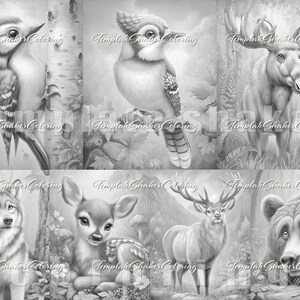 May include: A collection of seven grayscale illustrations featuring woodland animals including a woodpecker, blue jay, moose, wolf, fawn, deer, and bear. Each image is overlaid with the repeating watermark text TemplateShakerColoring.