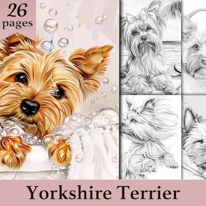 26 Yorkshire Terrier Coloring Pages Cute Dog Puppy Grayscale Coloring Book For Adults Animal Digital Printable PDF Instant Download