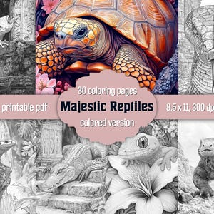 30 Reptiles Coloring Pages, Lizards Grayscale Coloring Book For Adults, Snakes, Turtles, Gecko Printable PDF + JPG, Colored Version Included