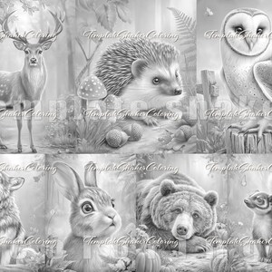 May include: A collection of six grayscale coloring page illustrations featuring a deer, a hedgehog with mushrooms and acorns, a barn owl on a stump, a howling wolf, a rabbit, and a bear with a skunk. Each panel includes the text TemplateShakerColoring.