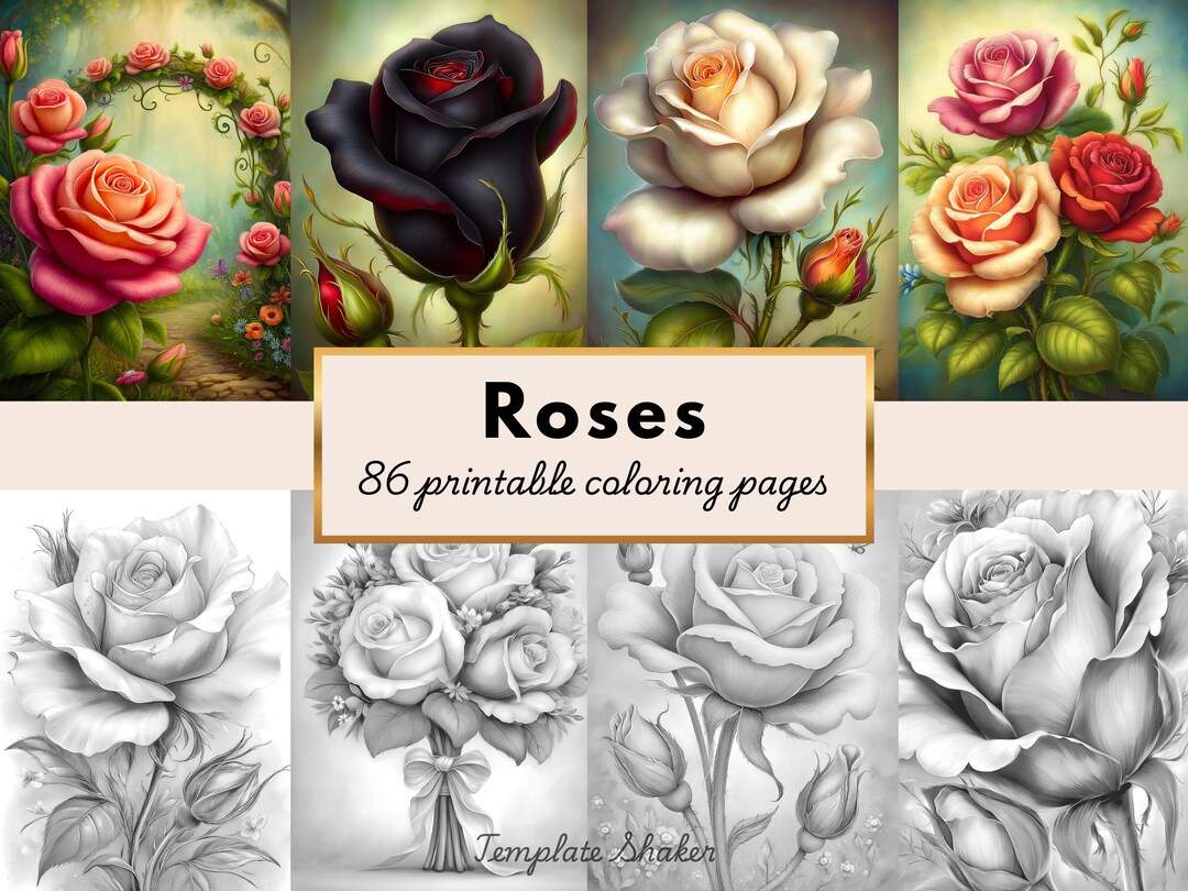 Roses Coloring Book: 86 Floral Grayscale Pages for Adults, Printable ...