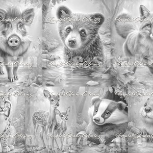 Woodland Animals Coloring Book: Fall Forest Grayscale Pages, PDF Download, Colored Version Included image 4