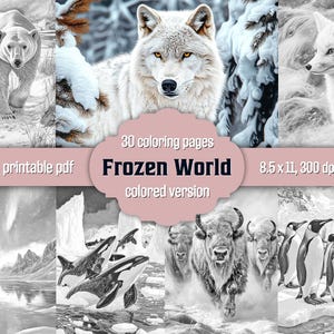 北極の動物の塗り絵（大人向け）冬の極地風景グレースケール塗り絵（印刷可能PDF、即時ダウンロード、カラー版JPG）