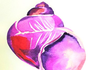Original watercolor, Seashell Painting, Beach Art, Nature illustration, Purple Moon Snail