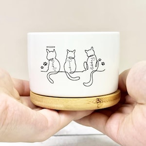 May include: White ceramic plant pot with a bamboo base, featuring a minimalist line drawing of three cats. Each cat has a name written below it: Maple, Juniper, and Poppy. Paw prints are also included.
