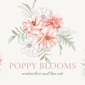 Aquarelle coquelicots floral clipart - clipart fleurs pavot d'Islande neutre - aquarelle bouquets de fleurs, couronnes clip art PNG, dessin au trait SVG