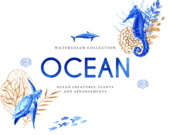 Akwarela oceaniczna: Zwierzęta i rośliny morskie (PNG)