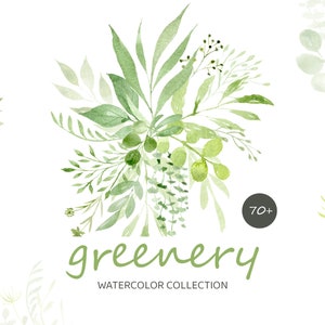 Greenery Watercolor clipart collection - Green leaves bundle clip art - Botanical wedding clipart - PNG