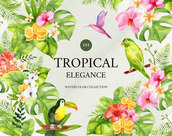 Watercolor Tropical Clipart: Flowers, Leaves & Exotic Birds (PNG)