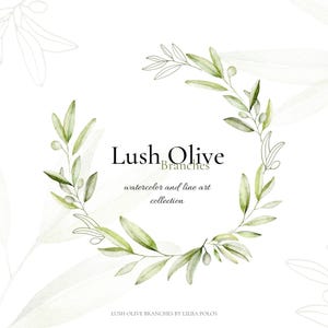 Lush Olive Branches – Watercolor & Line Art Collection - Botanical Clip Art