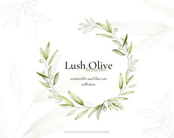 Lush Olive Branches – Watercolor & Line Art Collection - Botanical Clip Art