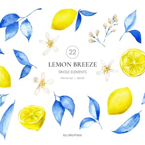 Lemon Watercolor Clipart - Lemon and Blue Leaves Clip Art Collection ...