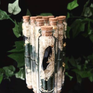 Fiole décorative en verre, avec peau de serpent authentique de source éthique, cristaux, or et mousse | Bibelots mystiques pour décoration d'intérieur ou autel