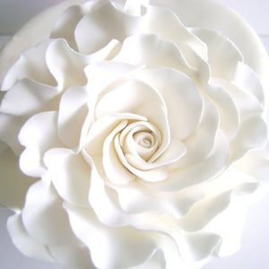 Puede incluir: Una gran rosa blanca de fondant con p&eacute;talos rizados sobre un pastel blanco.