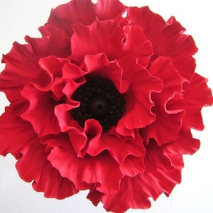 May include: A large, red poppy flower with a dark center. The petals are ruffled and have a velvety texture.
