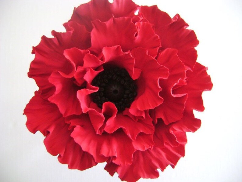 May include: A large, red poppy flower with a dark center. The petals are ruffled and have a velvety texture.