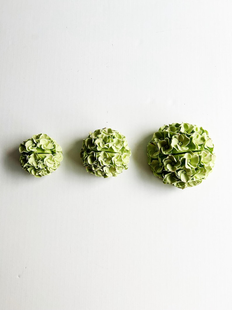 Puede incluir: Tres arreglos de flores de hortensia verde de diferentes tama&ntilde;os, dispuestos en una fila sobre un fondo blanco.