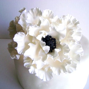 May include: A white fondant cake decorated with a large white sugar flower with a black center.