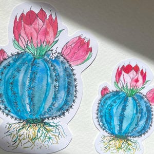 ronde turquoise en roze met de hand geschilderde en gesneden cactus van 2,5 of 3,5 inch of groter indien gewenst