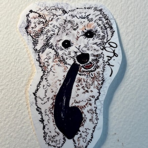 razza di cane bichon che mastica il suo osso