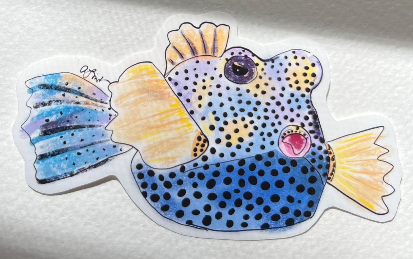 drawn fish boxes River Tuna Fish Box: Over 24,279 Royalty-Free