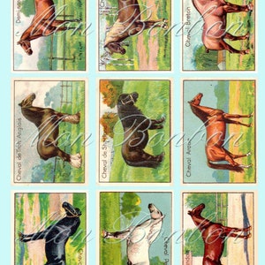 Feuille de collage éphémère de cartes de chevaux équins français vintage - TÉLÉCHARGEMENT IMMÉDIAT