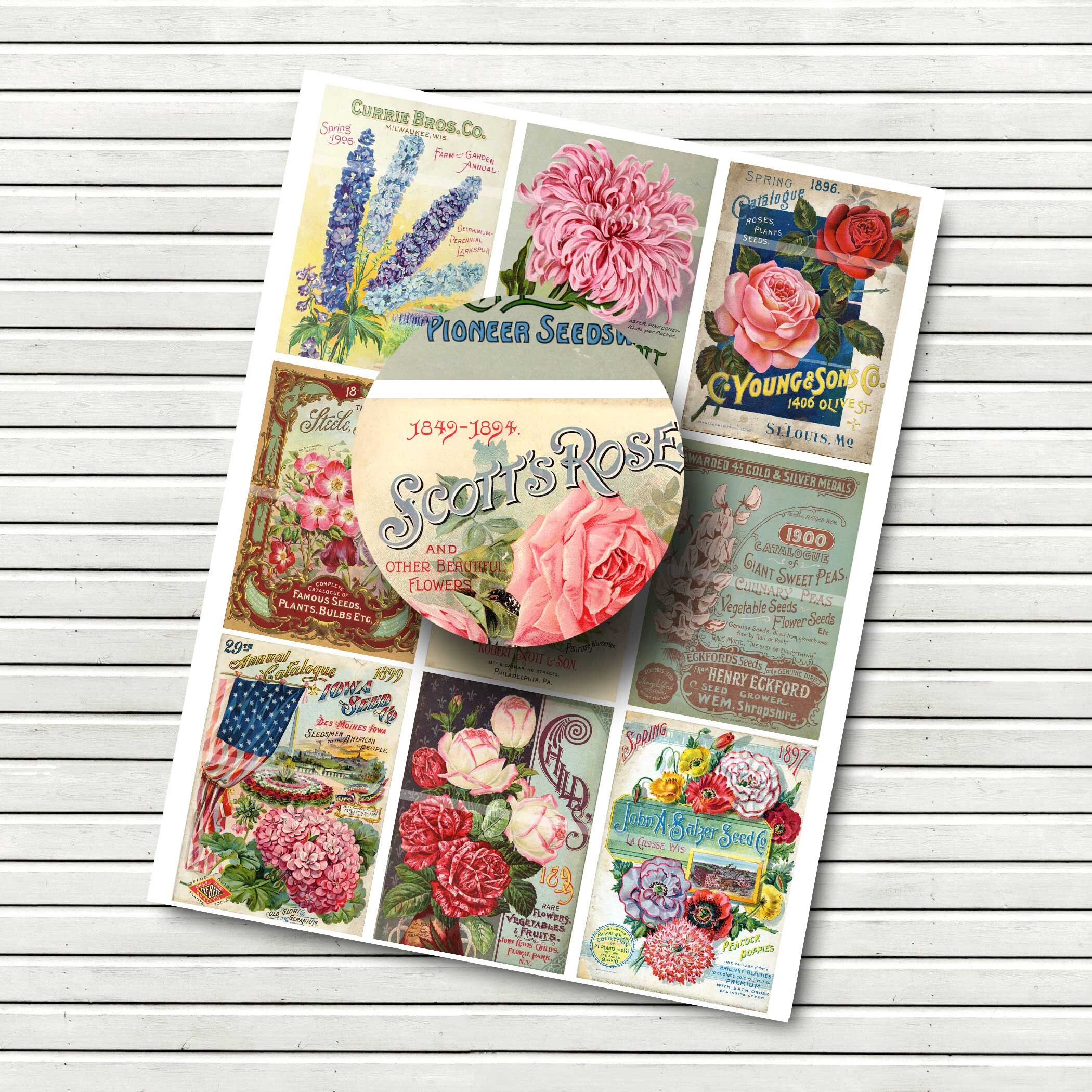 Vintage Flower Seeds Ephemera Digital Collage Sheet - 2.5 X 3.5 Inches ...