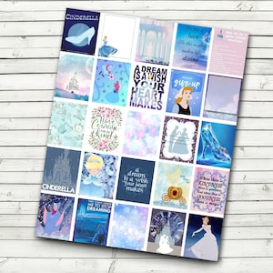 Cinderella Planner Stickers - DIY Print at Home Planner Sticker Sheet - Cinderella Stickers - fits Erin Condren Planner -