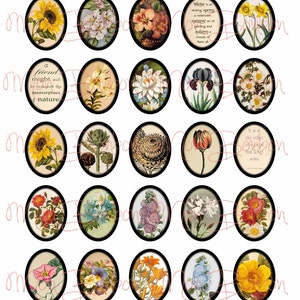Vintage botanische bloemen Collage Sheet - formaat van 30 x 40 mm ovalen - digitale u Print sieraden benodigdheden - INSTANT DOWNLOAD