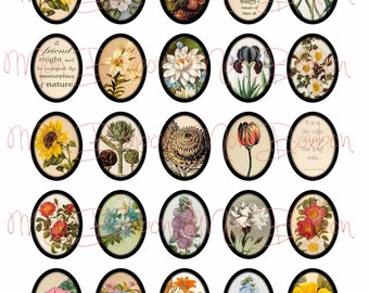 May include: Twenty-four vintage botanical illustrations of flowers, plants, and vegetables in oval frames. The illustrations are in a variety of colors, including red, yellow, blue, green, and white. The frames are black and white. The text "Vintage Botanical Ovals 30 x 40mm" is at the bottom of the image.
