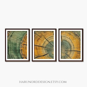 Zestaw wydruków artystycznych „Słoje drzew”: abstrakcyjna galeria ścienna z krajobrazem (do pobrania cyfrowego)_378