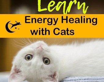 Learn Energy Healing with Cats