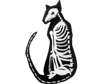 Cat Skeleton