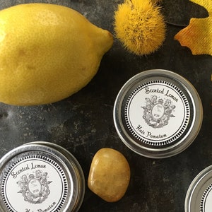 18th Century Lemon Flower Pomatum Hard Pomade Setting Curls Historical Hairstyle Vintage Hairstyle Natural Haircare